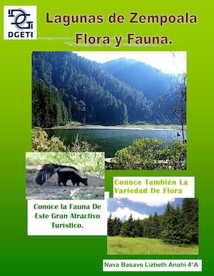 Lagunas De Zempoala L