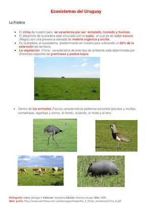 Ecosistemas Del Uruguay