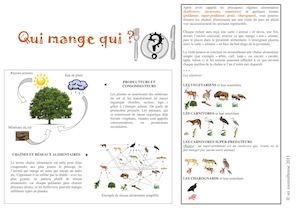 Qui mange qui - Pyramide alimentaire