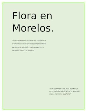 Flora En Morelos
