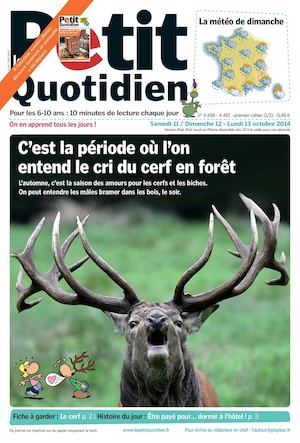 Le Petit Quotidien Les Cerfs
