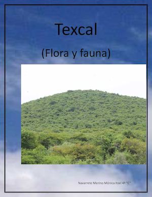 Texcal