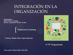 Integración En La Organización