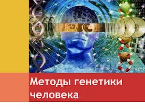 10 биология методы генетики человека