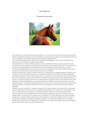 Los Caballos Calameo