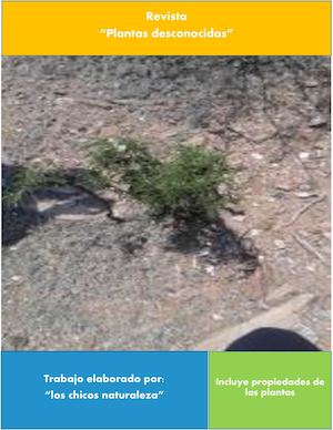 Plantas Del Cerro Del Tecolote