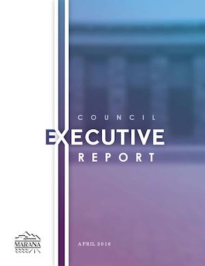 Executive Report April 2016