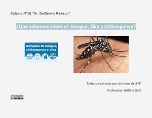 Colegio Rawson Enfermedades infecciosas dengue