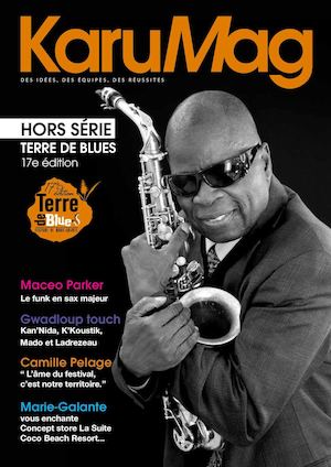 • Hors Serie Terre De Blues