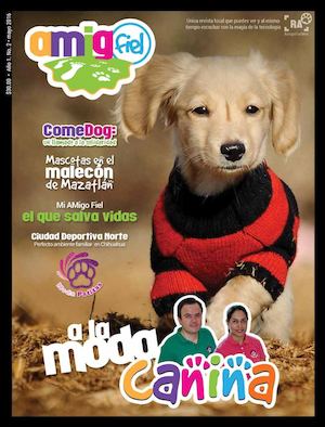 Amigo Fiel Mayo  Web