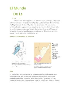 El Mundo De La  Hierba Buena