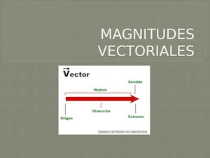 Magnitudes Vectoriales