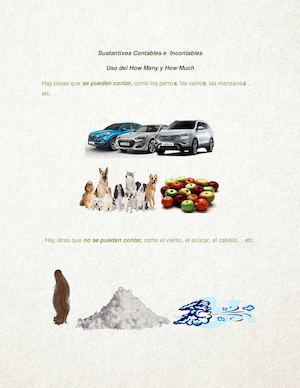 Sustantivos Contables e  Incontables y Uso del How Many y How Much