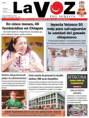 Diario La Voz del Sureste