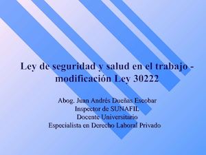 Ley de Seguridad