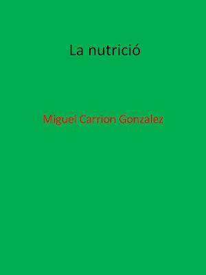 La Nutricio miguel carrion
