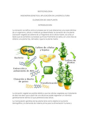 Calameo,medios Audiovisuales, Ingeneria Genetica