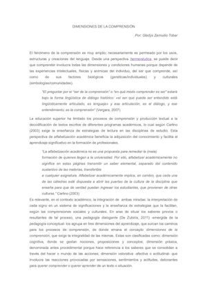 Texto Dimensiones De La Comprensión