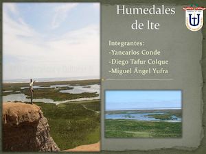 Humedales De Ite