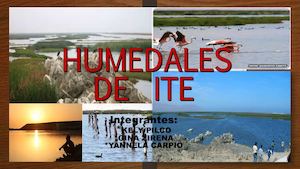Humedales De Ite Pptx Pdf 2