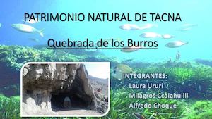 Patrimonio Natural De Tacna