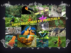 Biomas De Venezuela