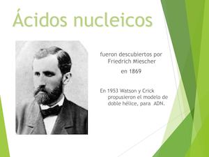 4 Reproduccion Celular