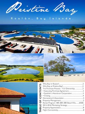 Pristine Bay Buyer's Guide 2016