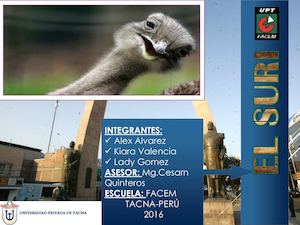 Patrimonio natural de Tacna: El Suri