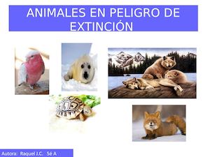 Animals En Perill D'extinció