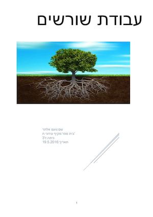 עבודת שורשים נועם 20 4 16