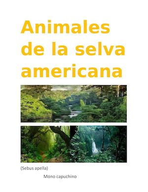 Animales De La Selva Americana