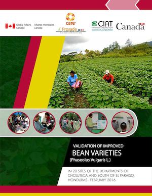 Validacion Of Improved Bean Varieties PROSADE