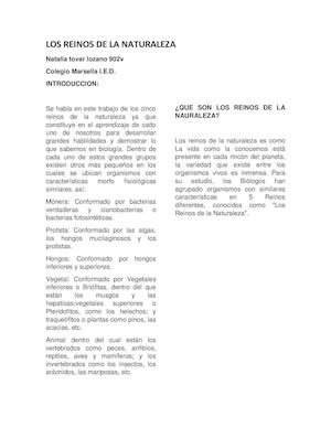 Los Reinos De La Naturaleza