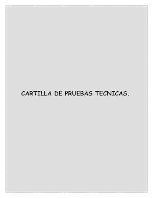 ¿Que Es Una Prueba Técnica?