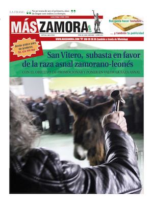 San Vitero Feria Asnal - Mas Zamora