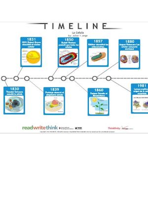 Linea Del Tiempo