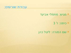 עבודת שורשים שלי