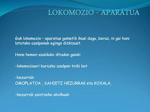 Lokomozio Aparatua (Ane Rodriguez)