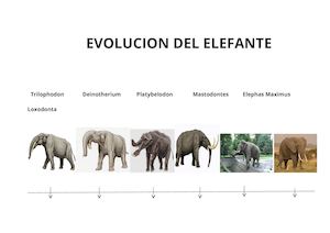 Aaaaaaaaaaaaaaaaaaaaaaaaaaaaaaaaaaaaaaaaaaaaaaaaaaaaaaaaaaa