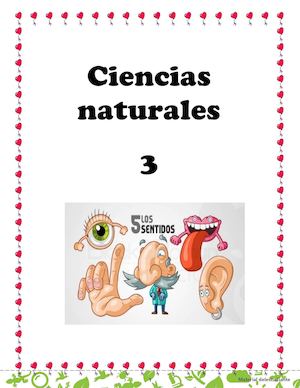 Planilla De Los Sentidos Tercero Primaria