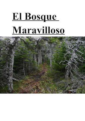 El Bosque Maravilloso