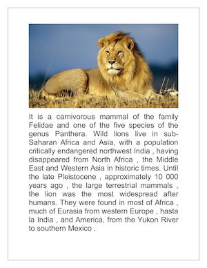 Trabajo English Lions