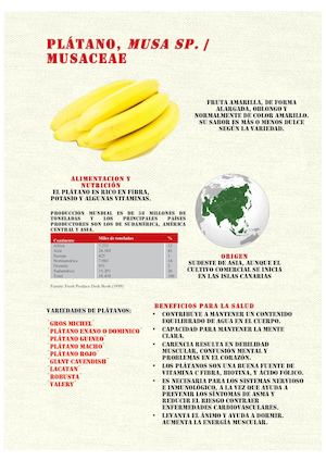 Las Frutas de Willy Fog