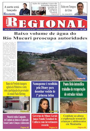 Gazeta Regional 349 (4)