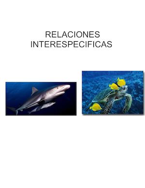 Relaciones Interespecificas
