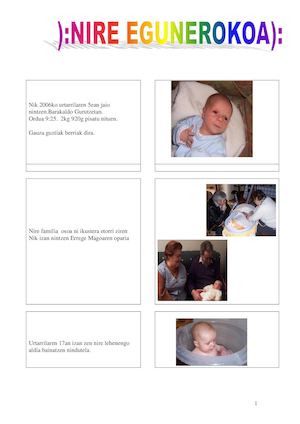 Nire Egunerokoa Aroa