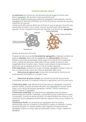 Estructura Del Suelo