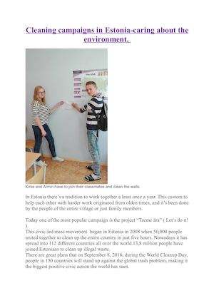 Cleaning Campaigns In Estonia