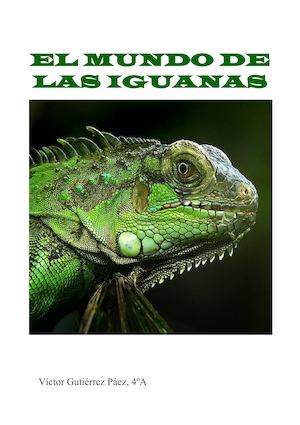 El Mundo De Las Iguanas
